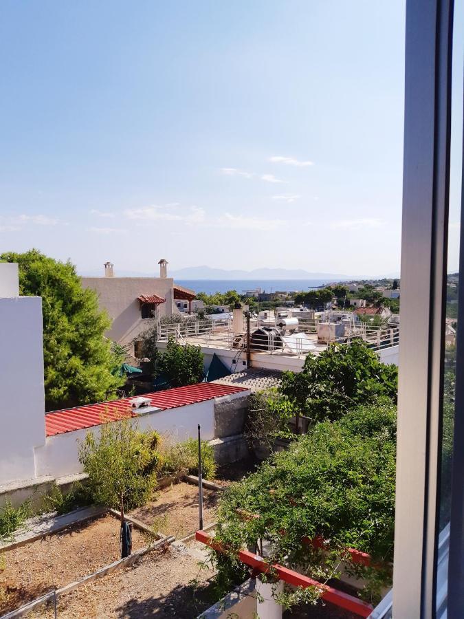 Vathí Sunny Houseヴィラ エクステリア 写真